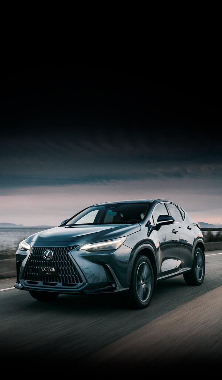 NX 350h Luxury